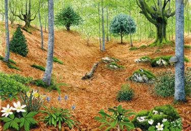 Salida de senderismo: Hayedos de Lekunberri 06-07/06/2026